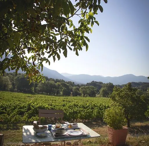 Domaine De Provensol