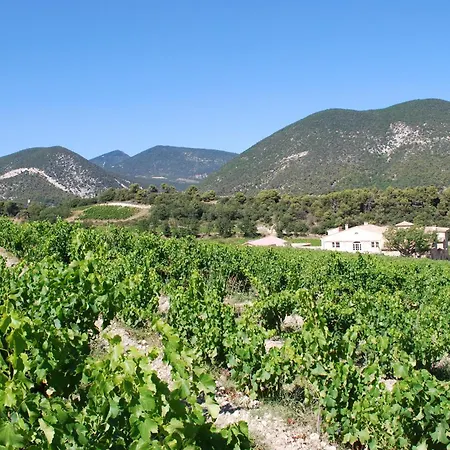 Bed & Breakfast Domaine De Provensol 3*
